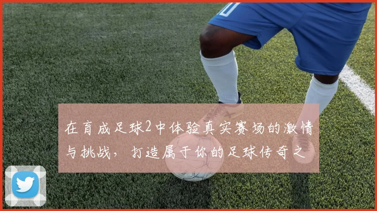 在育成足球2中体验真实赛场的激情与挑战，打造属于你的足球传奇之路